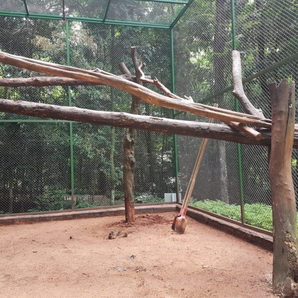Terrários