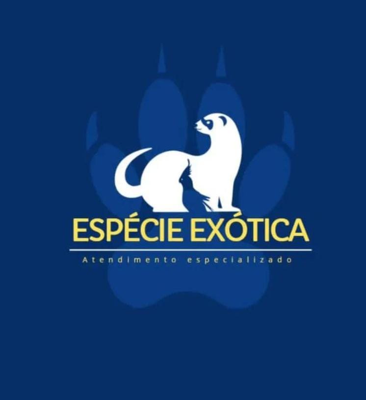 Clínica Veterinária Espécie Exótica